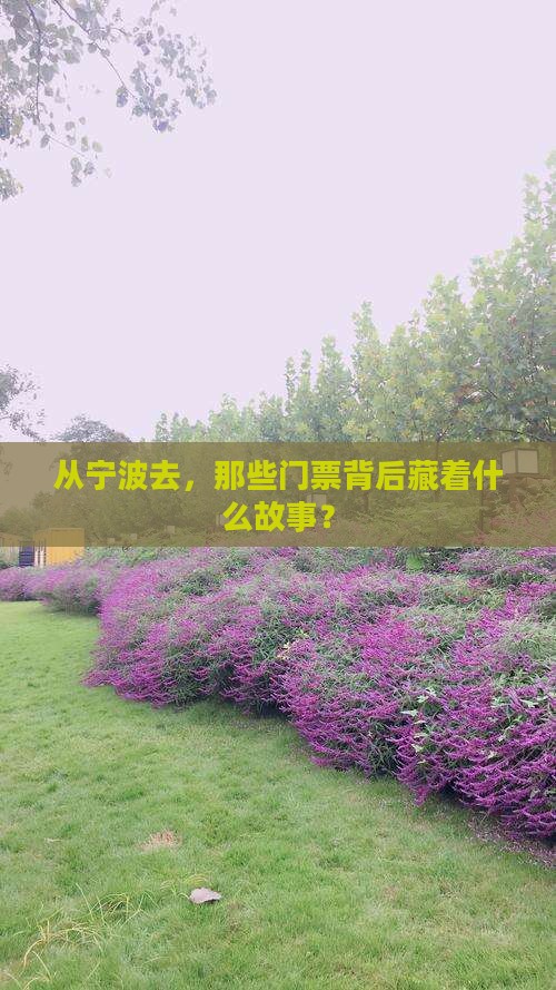 从宁波去，那些门票背后藏着什么故事？