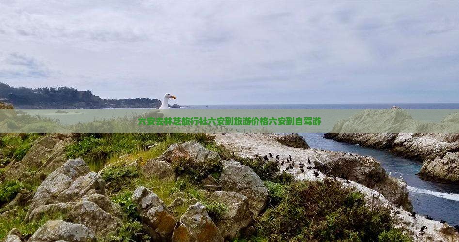 六安去林芝旅行社六安到旅游价格六安到自驾游