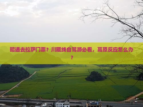 昭通去拉萨门票？川藏线自驾游必看，高原反应怎么办？