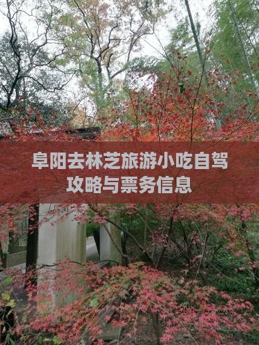 阜阳去林芝旅游小吃自驾攻略与票务信息