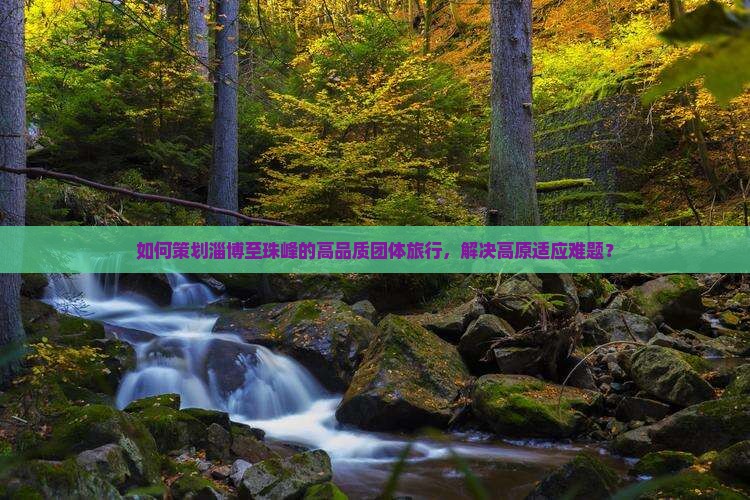如何策划淄博至珠峰的高品质团体旅行，解决高原适应难题？