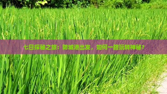 七日探秘之旅：防城港出发，如何一路玩转神秘？