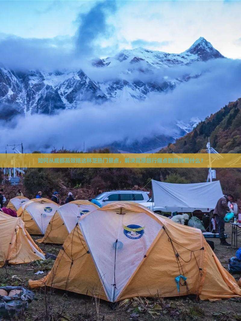 如何从成都高效抵达林芝热门景点，解决高原旅行痛点的路线是什么？