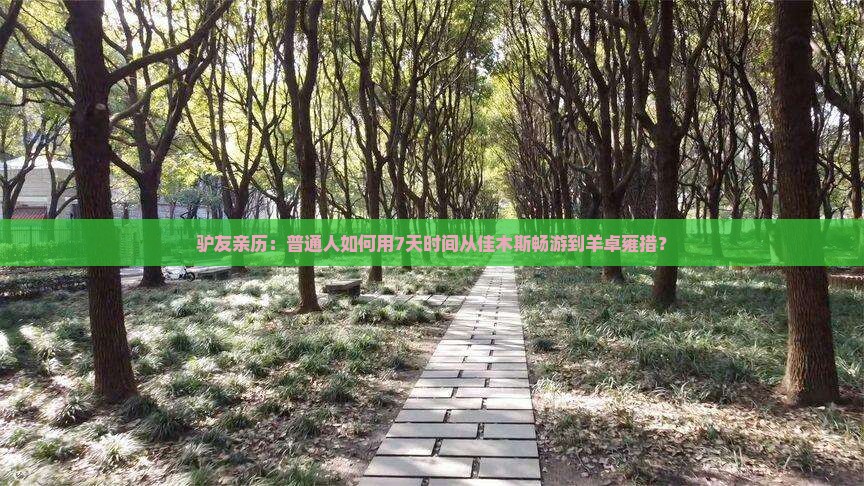 驴友亲历：普通人如何用7天时间从佳木斯畅游到羊卓雍措？