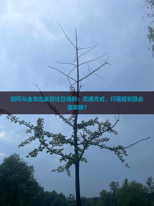如何从金华出发前往日喀则：交通方式、行程规划及必备攻略？
