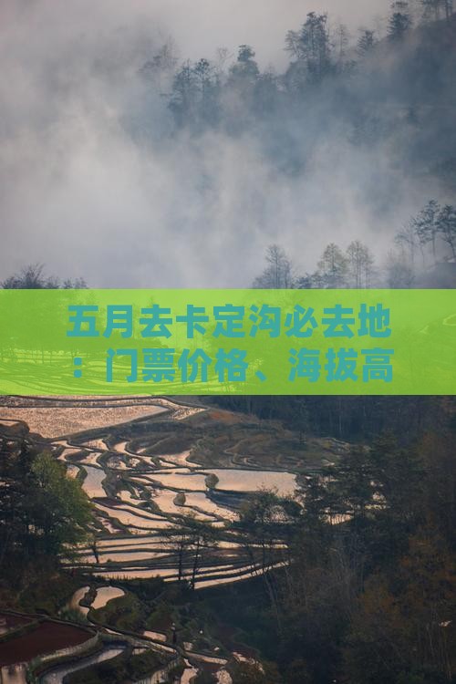五月去卡定沟必去地：门票价格、海拔高度