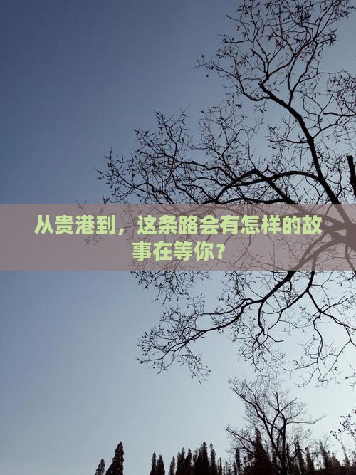 从贵港到，这条路会有怎样的故事在等你？