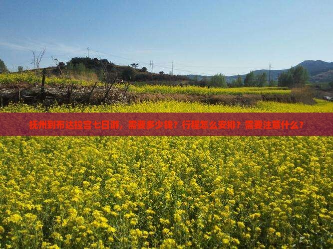 抚州到布达拉宫七日游，需要多少钱？行程怎么安排？需要注意什么？
