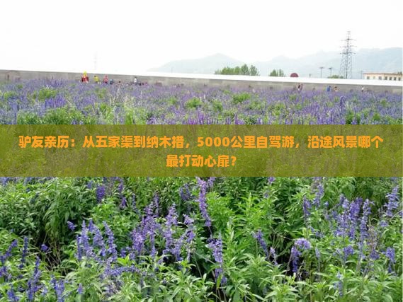 驴友亲历：从五家渠到纳木措，5000公里自驾游，沿途风景哪个最打动心扉？