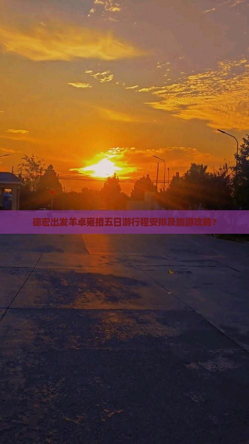 德宏出发羊卓雍措五日游行程安排及旅游攻略？