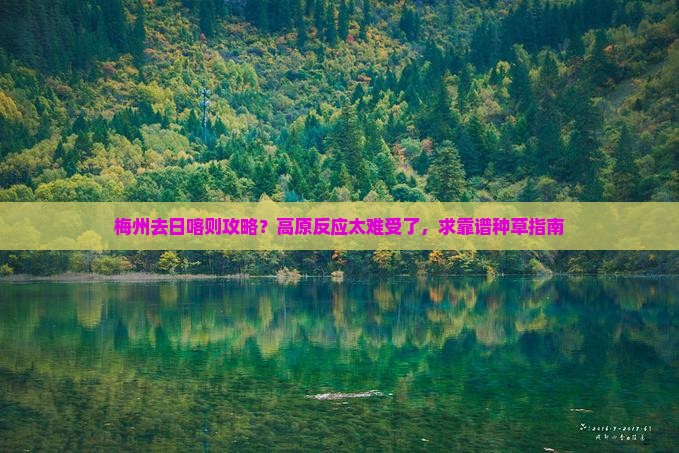 梅州去日喀则攻略？高原反应太难受了，求靠谱种草指南