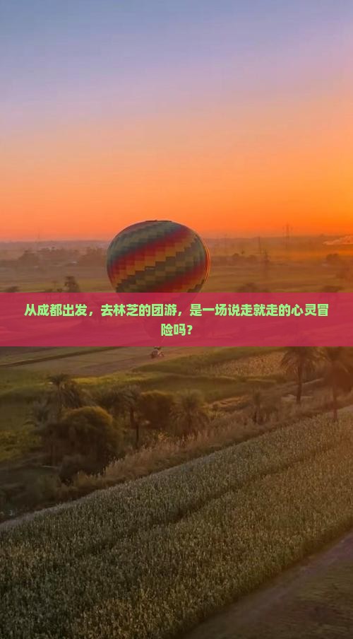 从成都出发，去林芝的团游，是一场说走就走的心灵冒险吗？