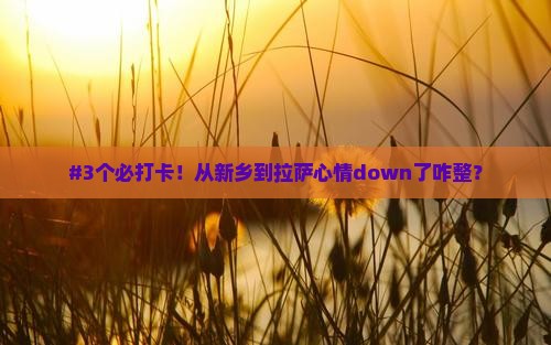 #3个必打卡！从新乡到拉萨心情down了咋整？
