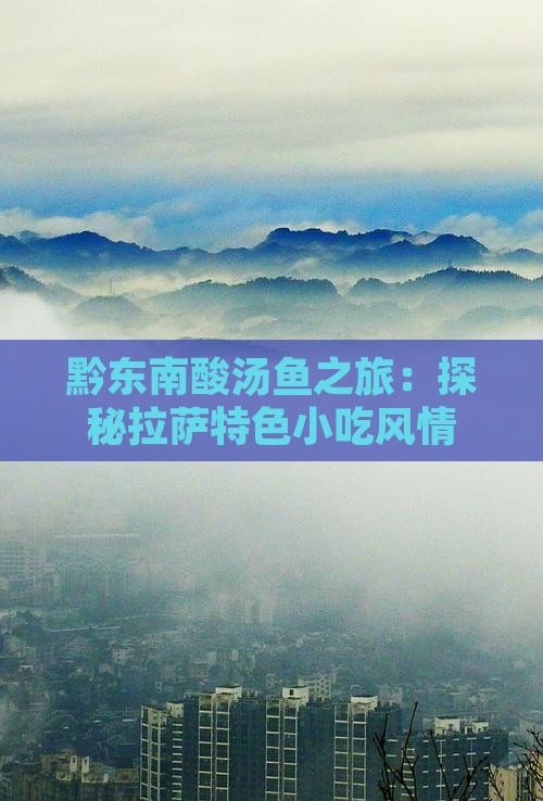 黔东南酸汤鱼之旅：探秘拉萨特色小吃风情