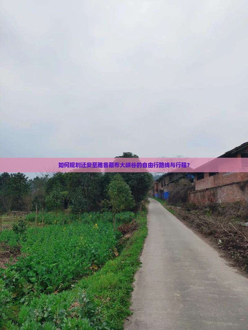 如何规划迁安至雅鲁藏布大峡谷的自由行路线与行程？