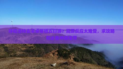 呼和浩特去羊卓雍措五日游？高原反应太难受，求攻略和必备神器推荐