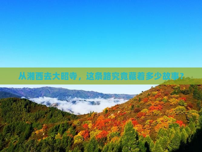 从湘西去大昭寺，这条路究竟藏着多少故事？