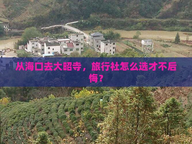 从海口去大昭寺，旅行社怎么选才不后悔？