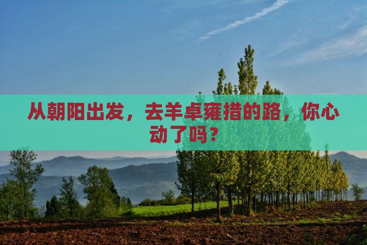 从朝阳出发，去羊卓雍措的路，你心动了吗？