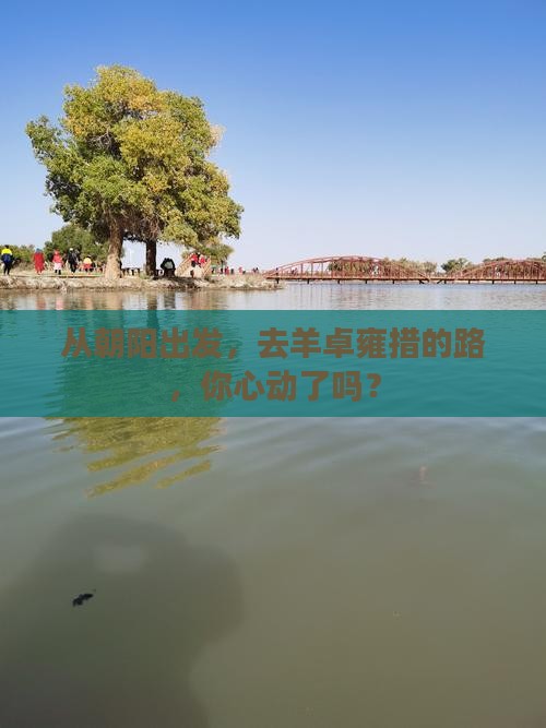 从朝阳出发，去羊卓雍措的路，你心动了吗？