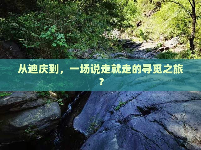 从迪庆到，一场说走就走的寻觅之旅？