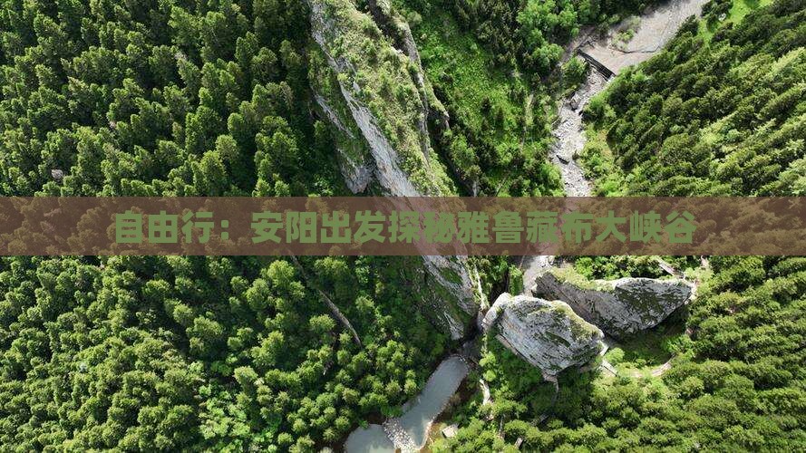 自由行：安阳出发探秘雅鲁藏布大峡谷