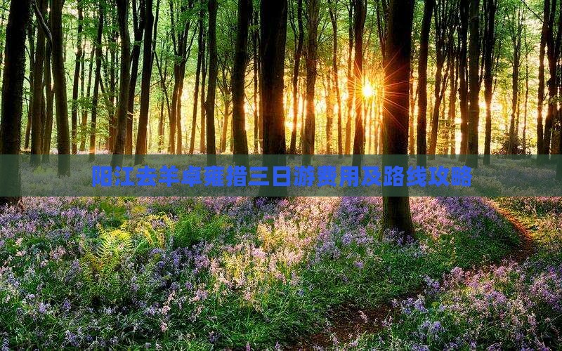 阳江去羊卓雍措三日游费用及路线攻略