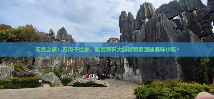 吃货之旅：石河子出发，雅鲁藏布大峡谷藏着哪些美味小吃？