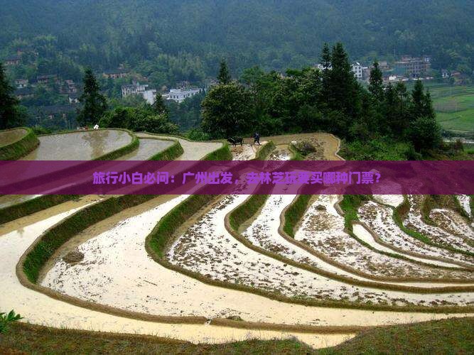 旅行小白必问：广州出发，去林芝玩要买哪种门票？
