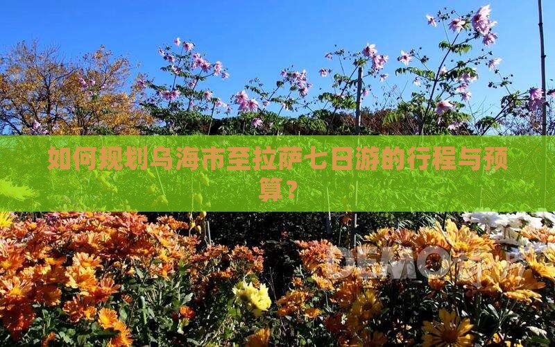 如何规划乌海市至拉萨七日游的行程与预算？