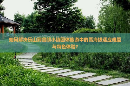 如何解决乐山到鲁朗小镇团体旅游中的高海拔适应难题与特色体验？