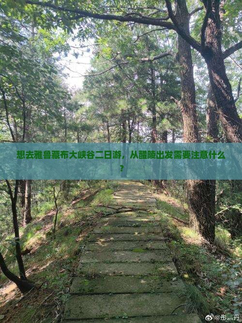 想去雅鲁藏布大峡谷二日游，从醴陵出发需要注意什么？