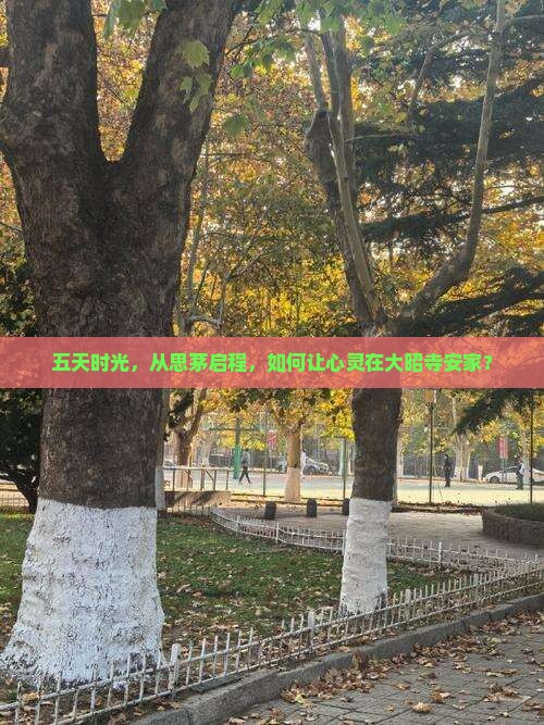 五天时光，从思茅启程，如何让心灵在大昭寺安家？