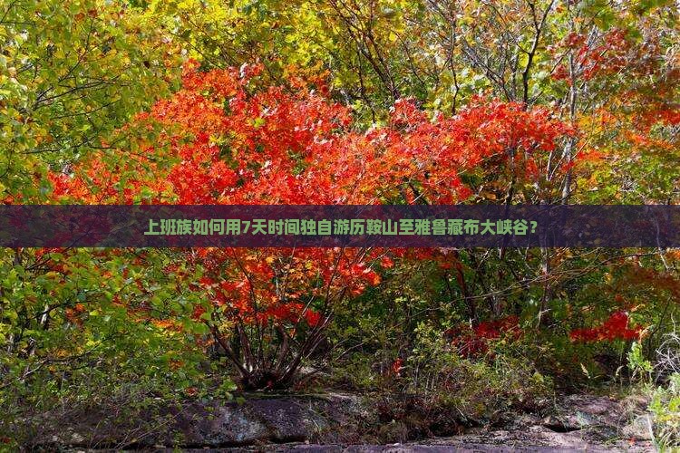 上班族如何用7天时间独自游历鞍山至雅鲁藏布大峡谷？
