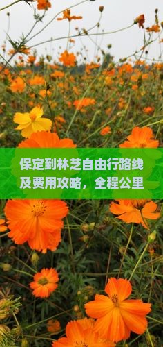 保定到林芝自由行路线及费用攻略，全程公里数与旅行指南
