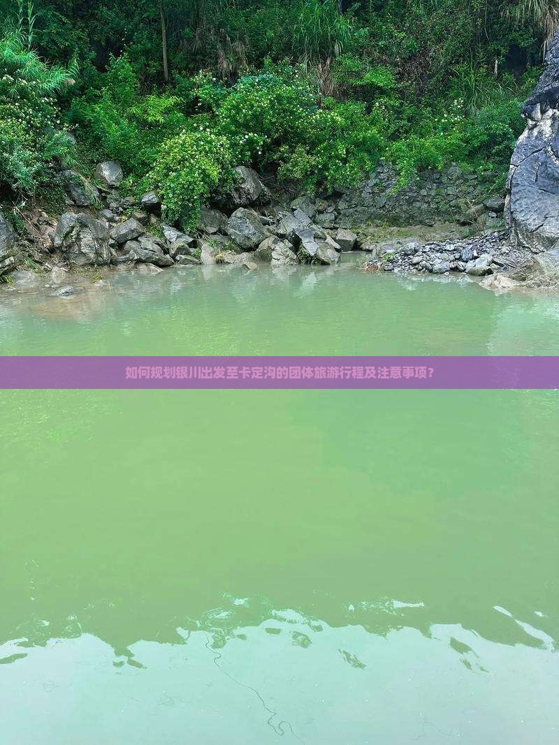 如何规划银川出发至卡定沟的团体旅游行程及注意事项？