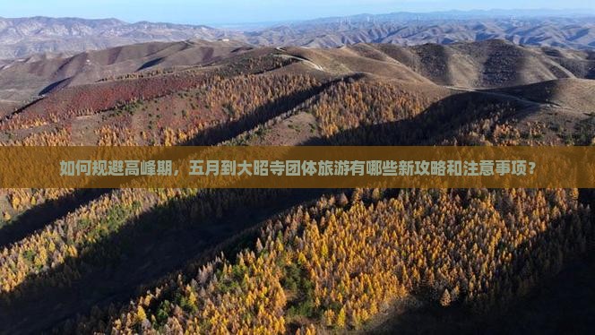 如何规避高峰期，五月到大昭寺团体旅游有哪些新攻略和注意事项？
