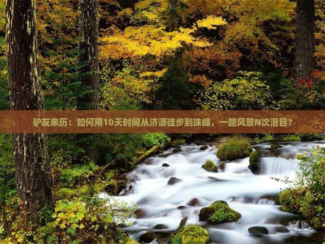 驴友亲历：如何用10天时间从济源徒步到珠峰，一路风景N次泪目？