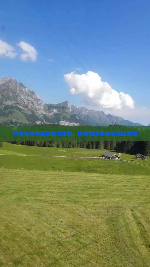 晋城去羊卓雍措旅游攻略：探寻高原美景与藏族风情