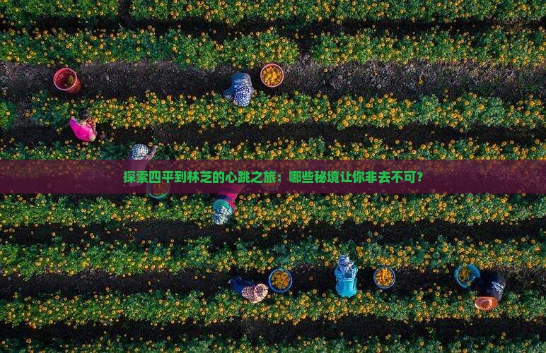 探索四平到林芝的心跳之旅：哪些秘境让你非去不可？