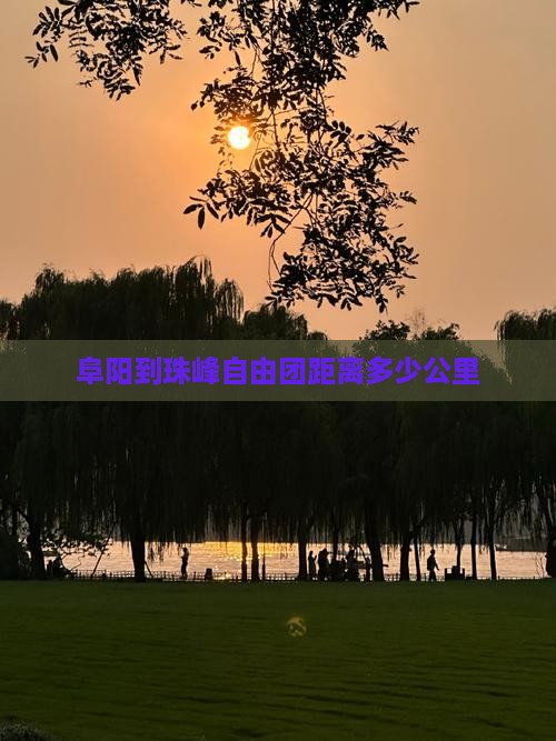 阜阳到珠峰自由团距离多少公里
