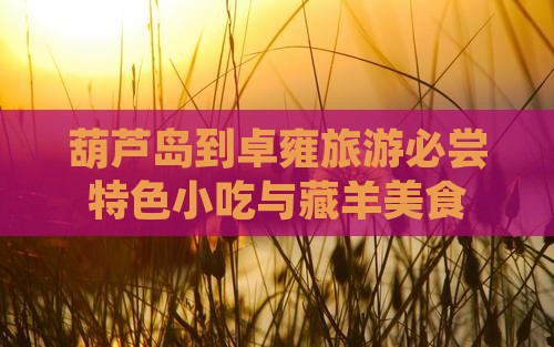 葫芦岛到卓雍旅游必尝特色小吃与藏羊美食