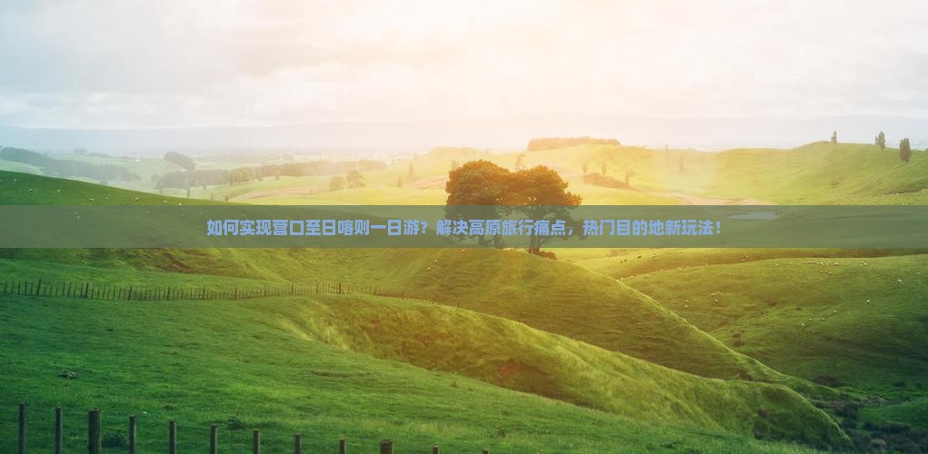 如何实现营口至日喀则一日游？解决高原旅行痛点，热门目的地新玩法！