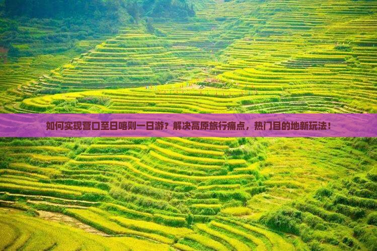 如何实现营口至日喀则一日游？解决高原旅行痛点，热门目的地新玩法！