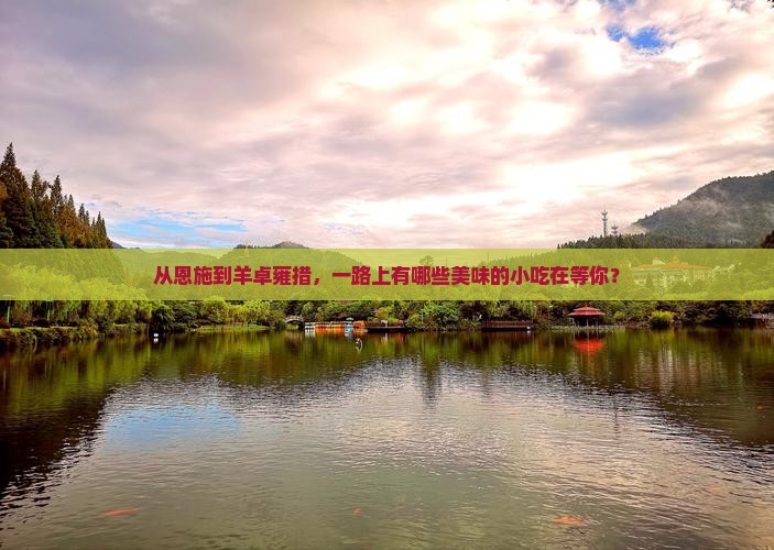从恩施到羊卓雍措，一路上有哪些美味的小吃在等你？