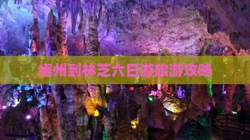 梧州到林芝六日游旅游攻略