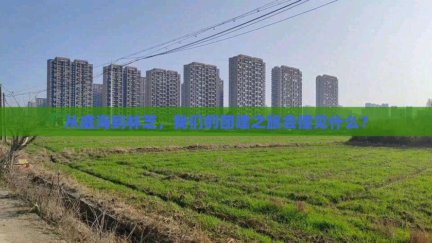 从威海到林芝，我们的团建之旅会撞见什么？