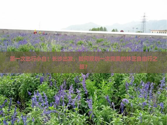第一次出行小白！长沙出发，如何规划一次完美的林芝自由行之旅？