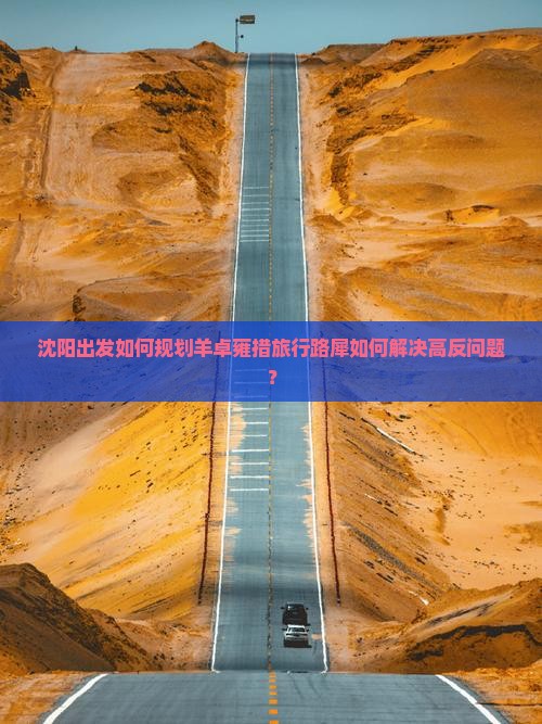 沈阳出发如何规划羊卓雍措旅行路犀如何解决高反问题？