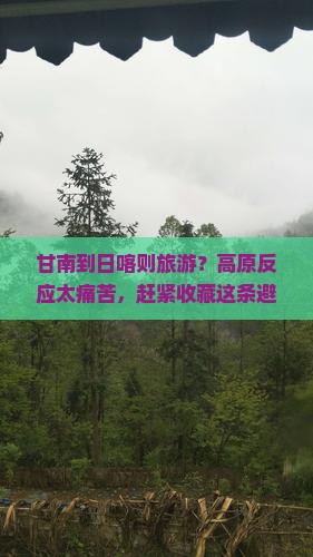 甘南到日喀则旅游？高原反应太痛苦，赶紧收藏这条避坑指南
